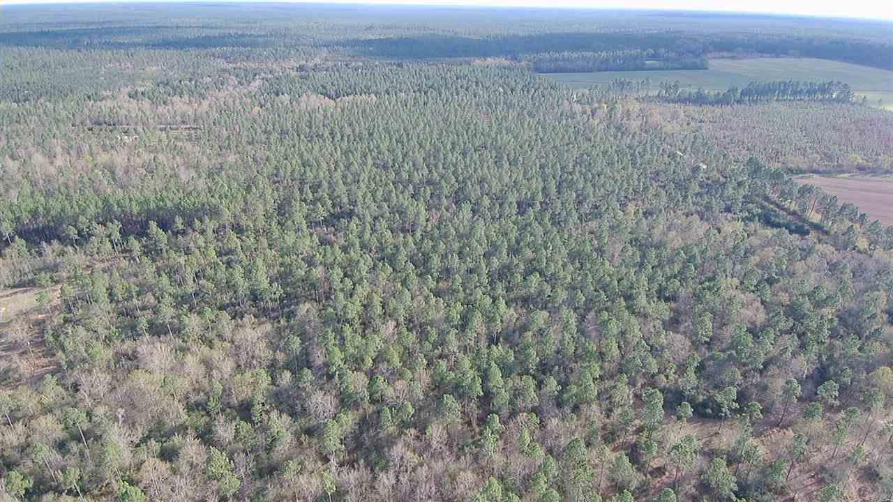 Lot 3 Red Cloud Road Baker, FL 32531 - Photo 7 of 15 Gallery Image 7