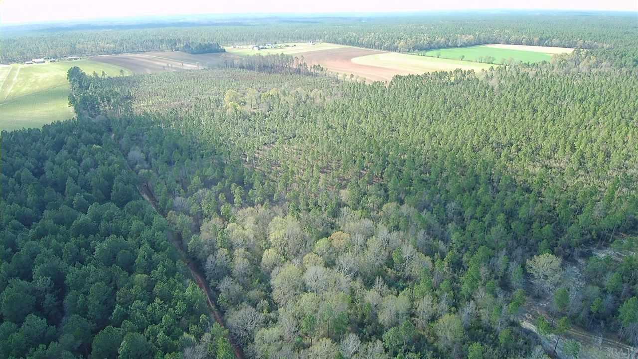 Lot 3 Red Cloud Road Baker, FL 32531 - Photo 8 of 15 Gallery Image 8