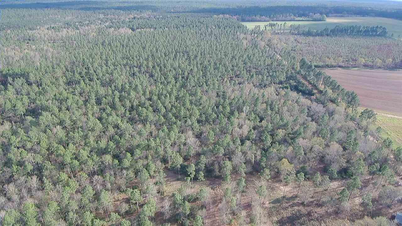 Lot 3 Red Cloud Road Baker, FL 32531 - Photo 10 of 15 Gallery Image 10