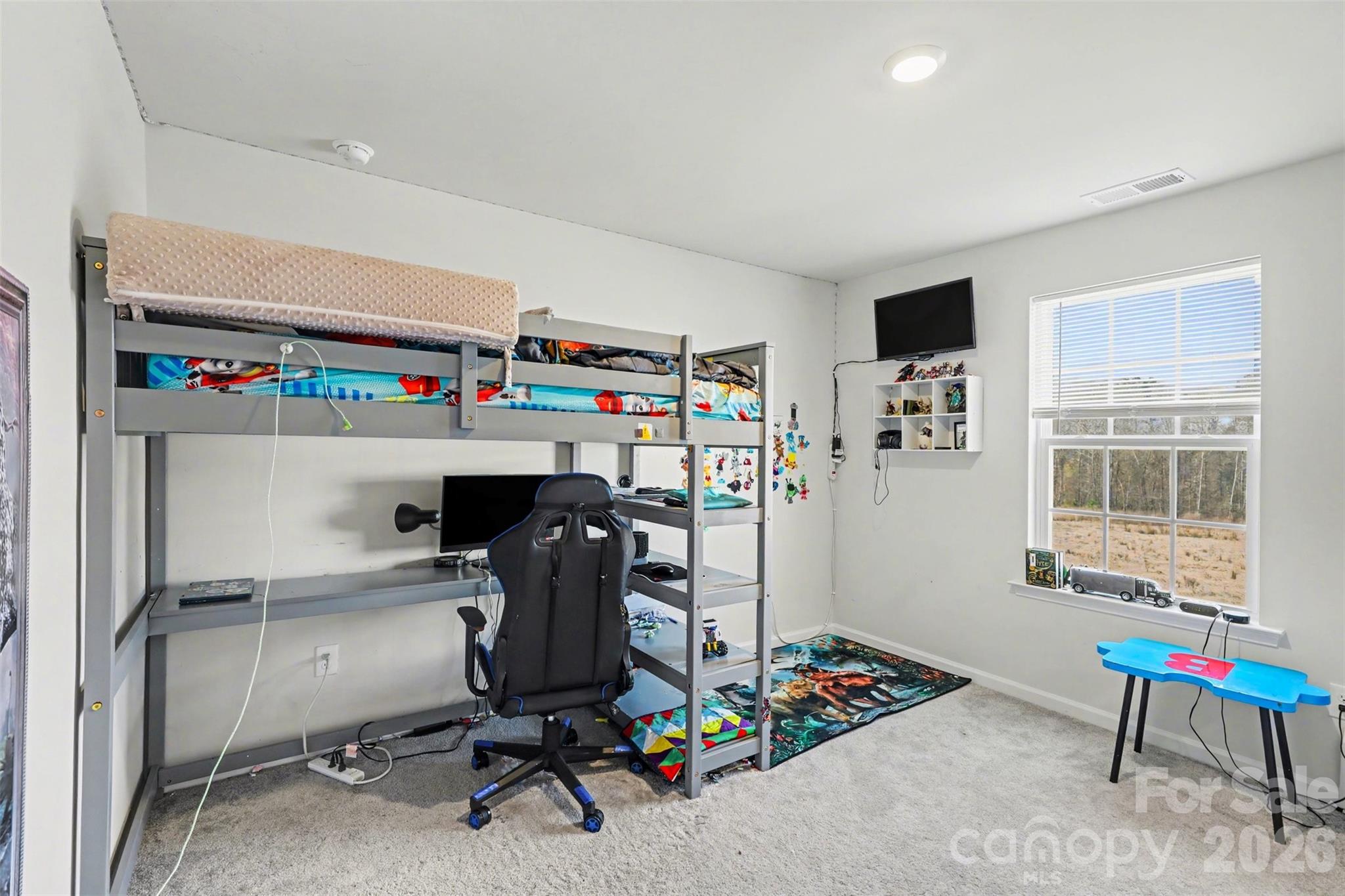 5504 Soft Shell Drive Lancaster, SC 29720 - Photo 17 of 25