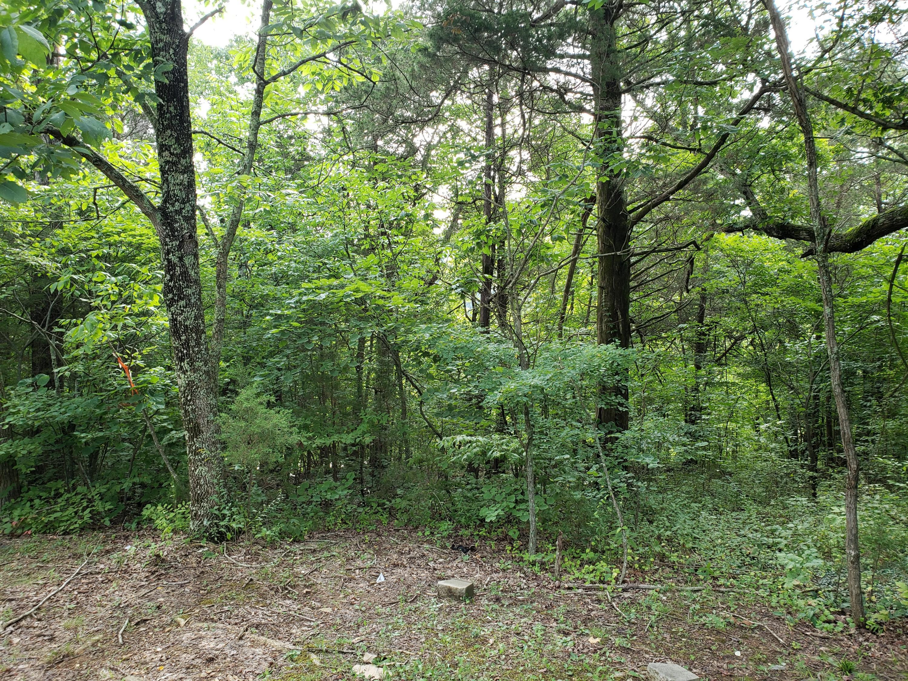 Lot #25 Red Wing Road Brandenburg, KY 40108 - Photo 2 of 12 20180801_093919
