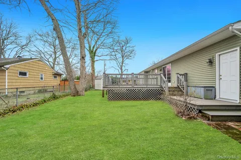 a view of a backyard with plants and large tree