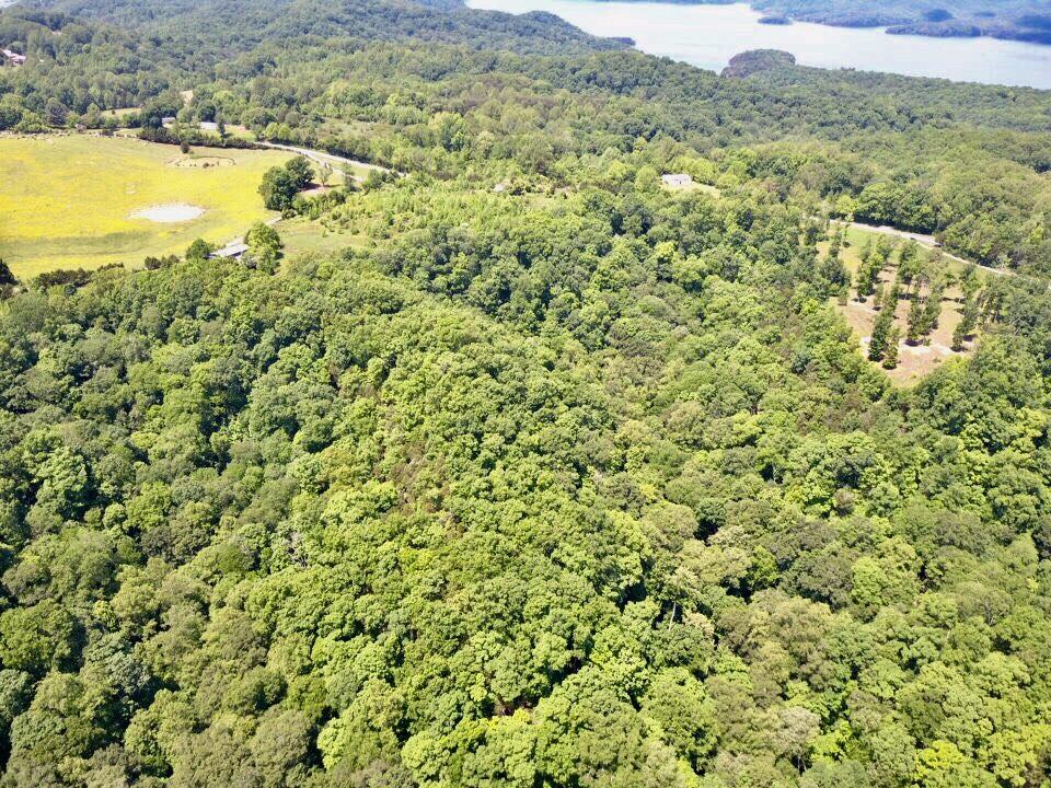 0 Lillydale Road Allons, TN 38541 - Photo 11 of 19