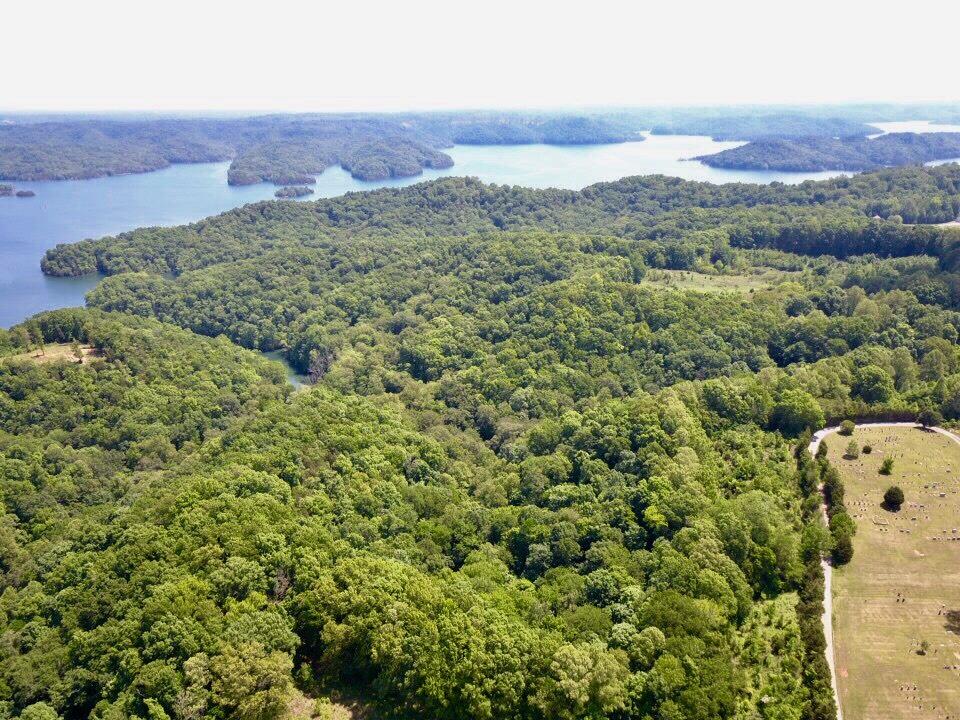 0 Lillydale Road Allons, TN 38541 - Photo 12 of 19 an aerial view of a house with a yard