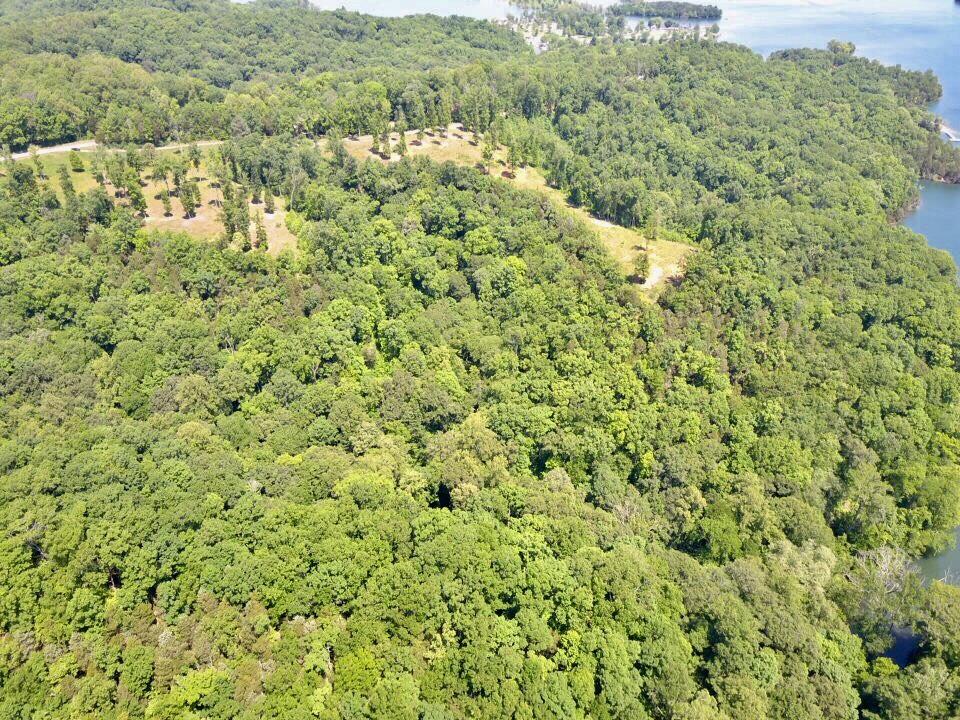 0 Lillydale Road Allons, TN 38541 - Photo 13 of 19 a view of a large yard with lots of green space