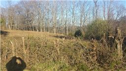 0 Lillydale Road Allons, TN 38541 - Photo 15 of 19 a view of residential area with yard