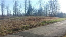 0 Lillydale Road Allons, TN 38541 - Photo 16 of 19 a view of a backyard