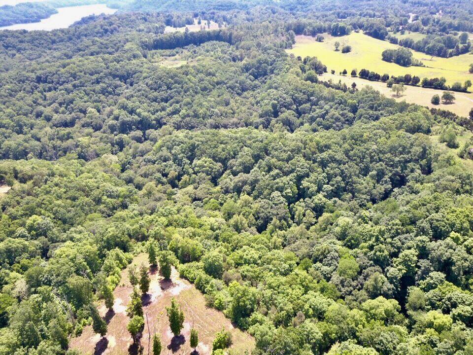 0 Lillydale Road Allons, TN 38541 - Photo 17 of 19