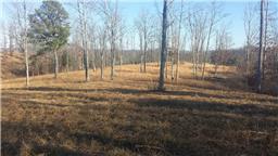 0 Lillydale Road Allons, TN 38541 - Photo 4 of 19 a view of yard with trees