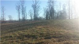 0 Lillydale Road Allons, TN 38541 - Photo 9 of 19 a view of a yard with large trees