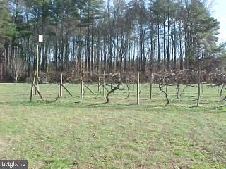 29207 Pond Run Road Westover, MD 21871 - Photo 4 of 6 Gallery Image 4
