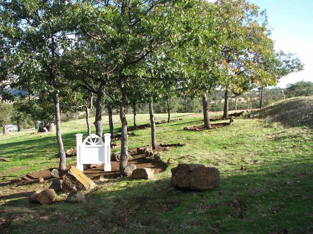 599 Rabbit Place Hornbrook, CA 96044 - Photo 2 of 8 Gallery Image 2