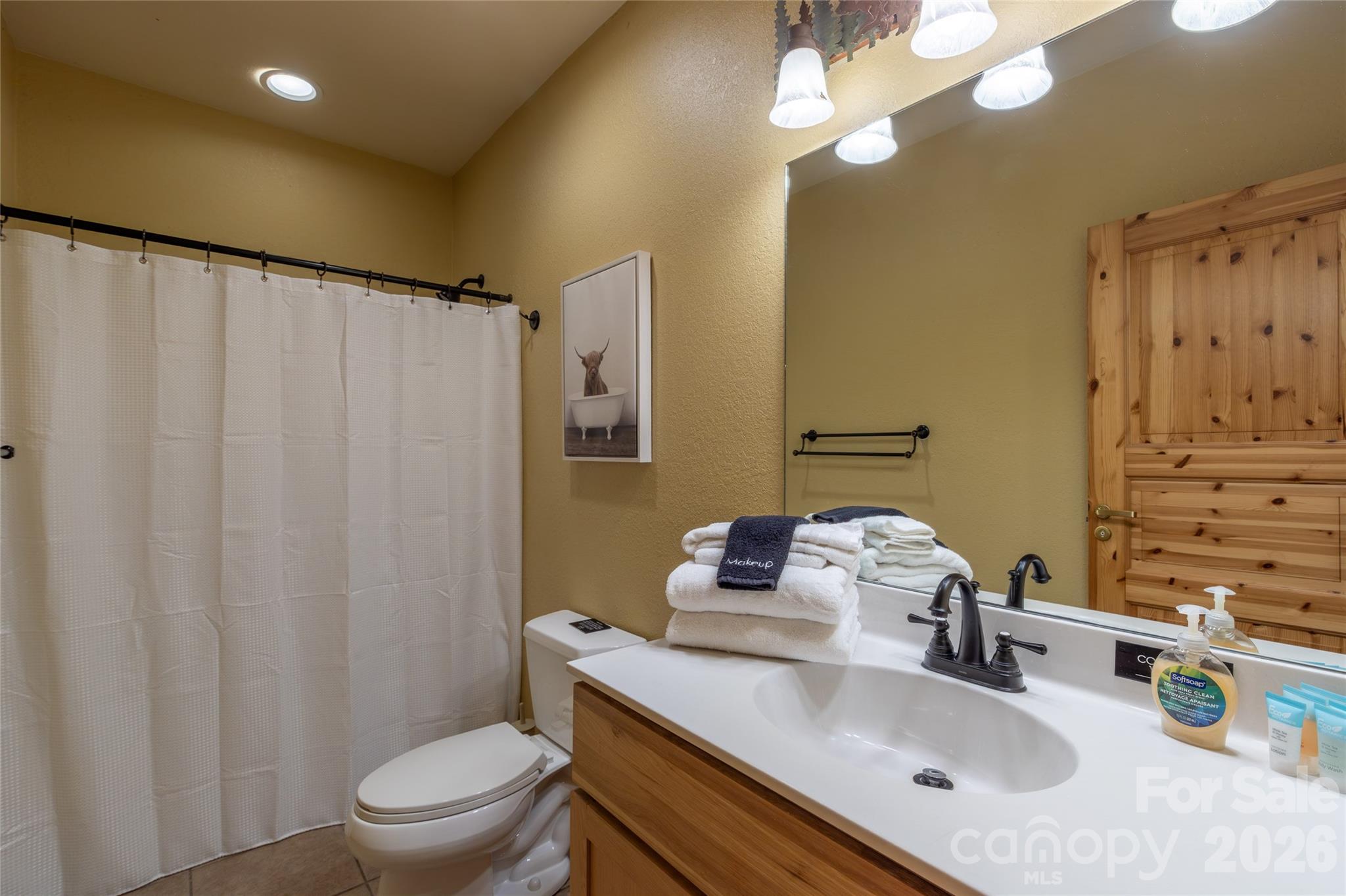 1391 Still Branch Road Sylva, NC 28779 - Photo 32 of 40 a bathroom with a sink toilet double vanity and shower