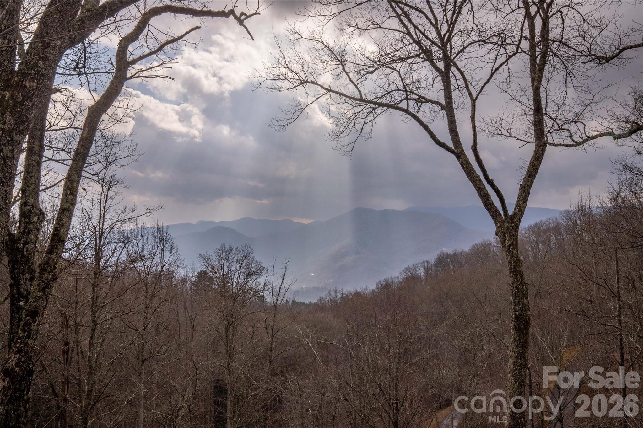 1391 Still Branch Road Sylva, NC 28779 - Photo 35 of 40 a view of mountain view with lots of trees