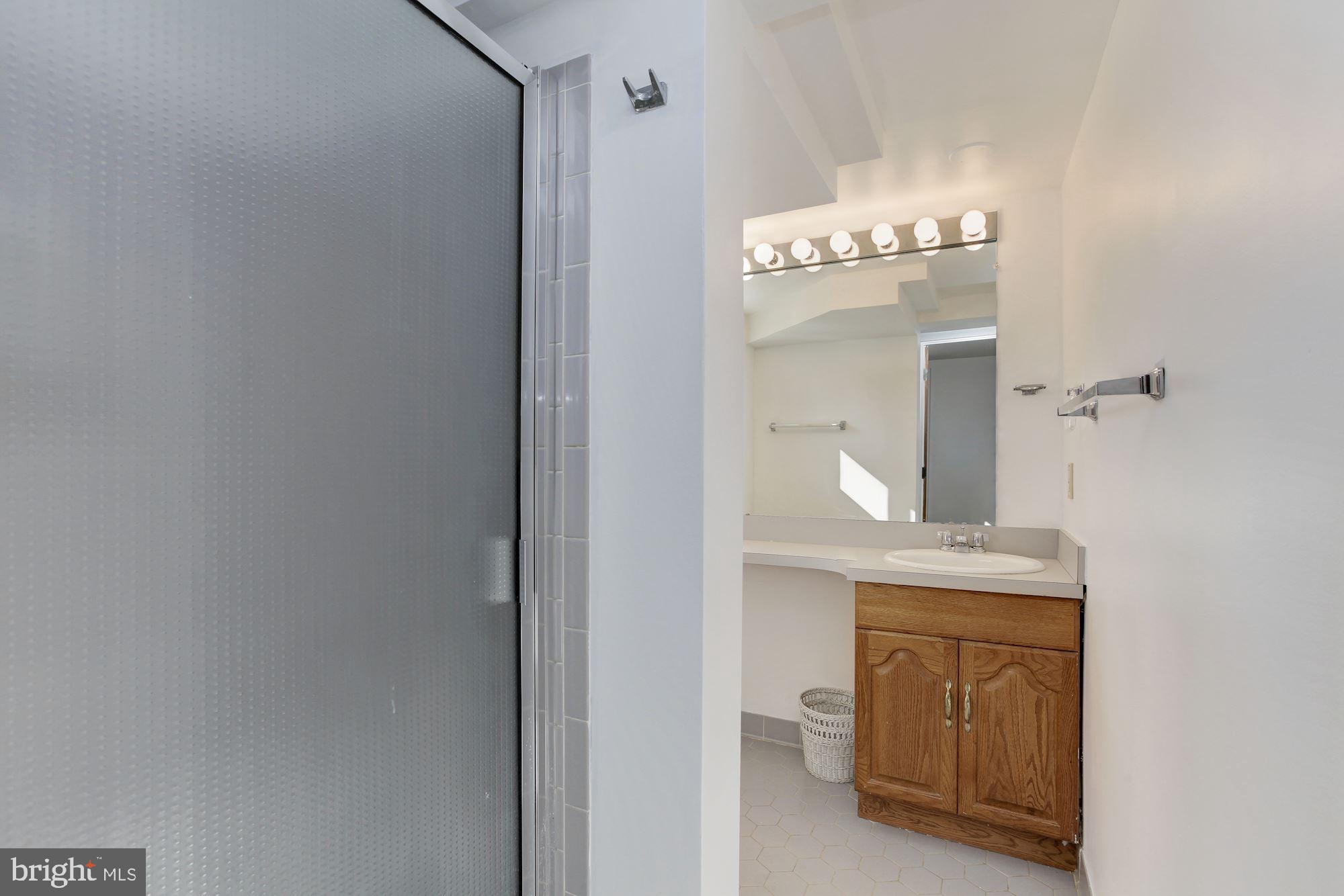 2605 Higbee Road Adelphi, MD 20783 - Photo 28 of 31 Full Bath on Lower Level