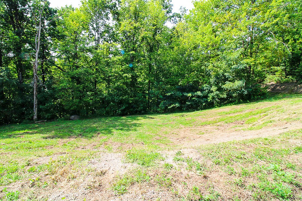 1468 Laurel Road Gatlinburg, TN 37738 - Photo 7 of 40 Gallery Image 7