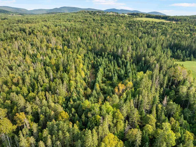 $295,000 | Harrys Way, Colebrook, NH 03576