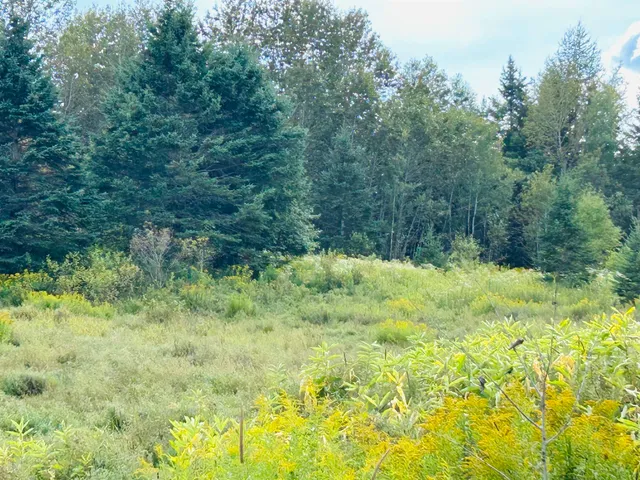 $295,000 | Harrys Way, Colebrook, NH 03576