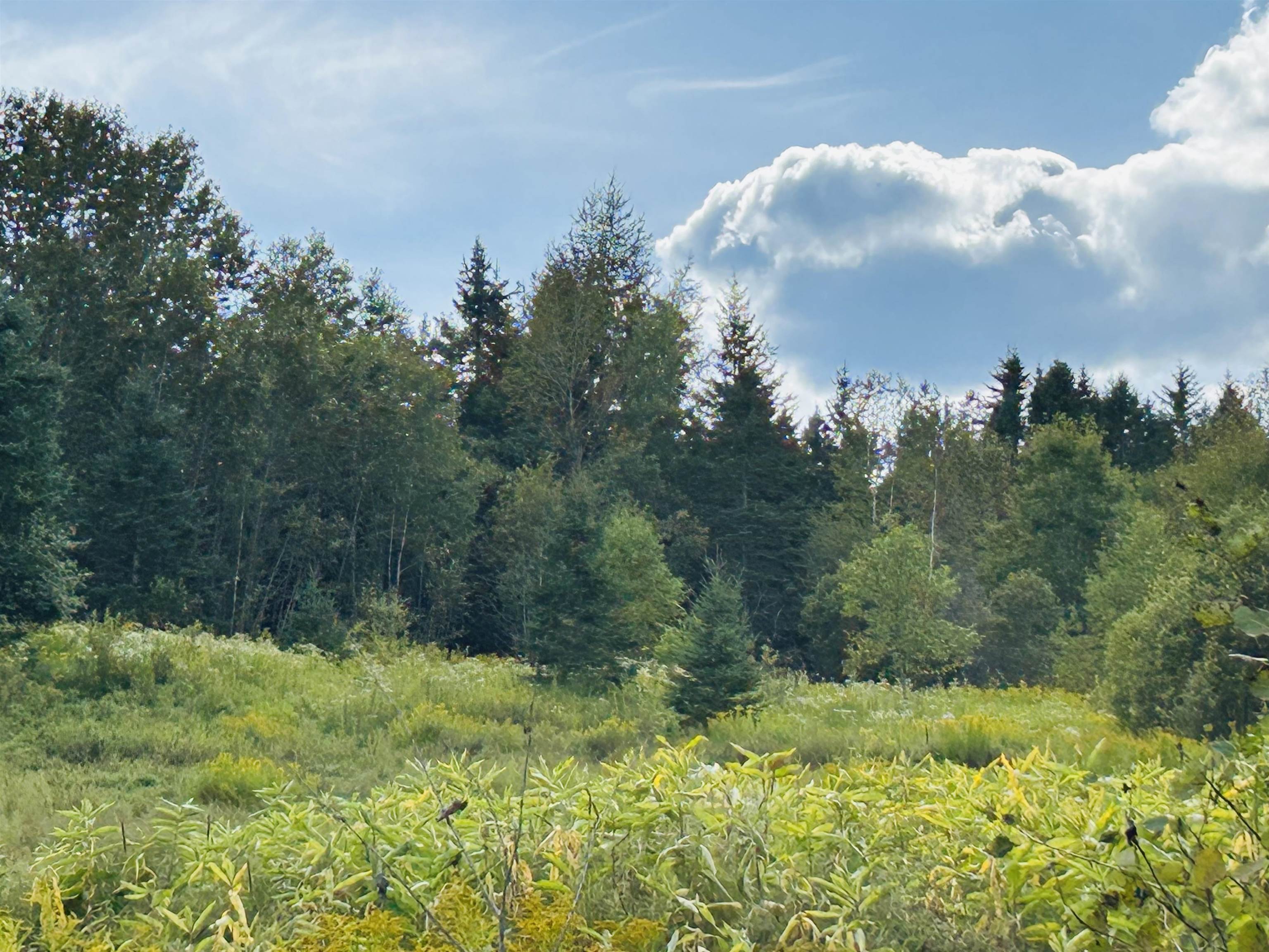 Harrys Way Colebrook, NH 03576 - Photo 20 of 24