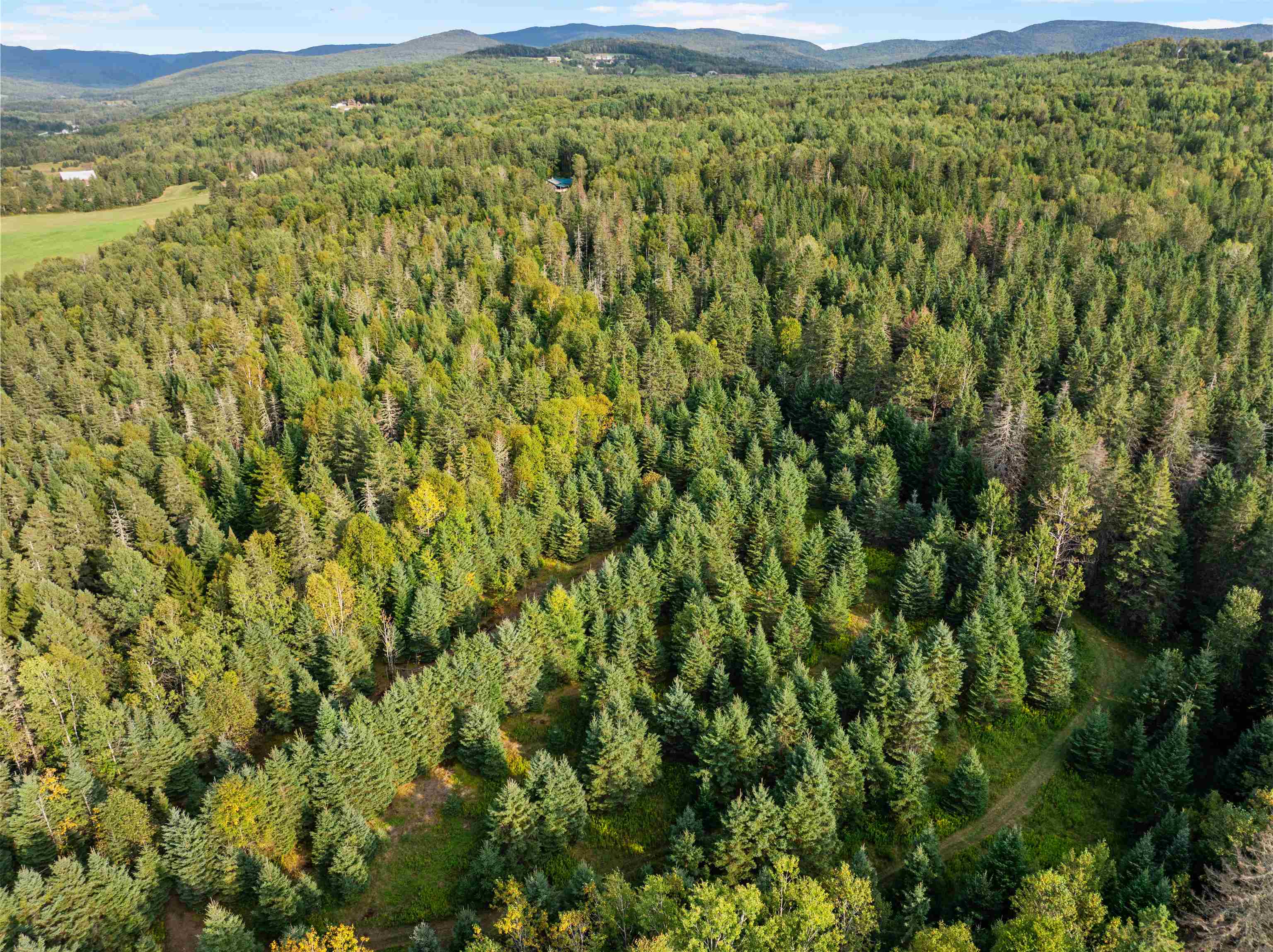 Harrys Way Colebrook, NH 03576 - Photo 4 of 24