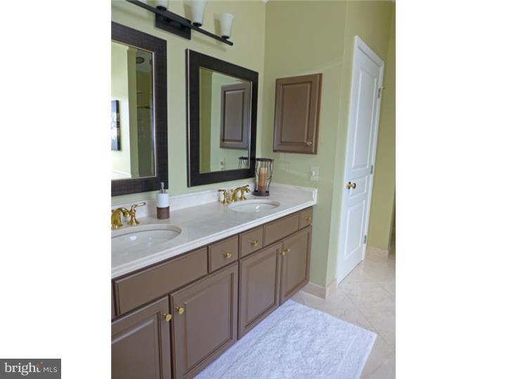 2920 Duffield Lane Sinking Spring, PA 19608 - Photo 17 of 25 Master Bathroom