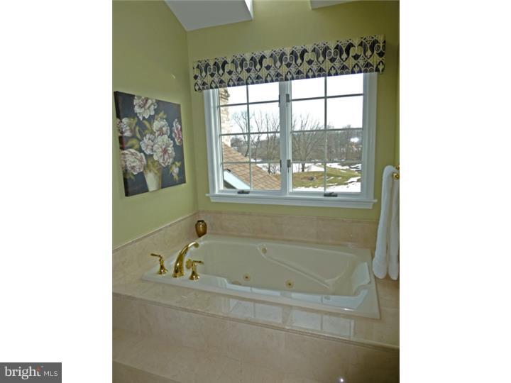 2920 Duffield Lane Sinking Spring, PA 19608 - Photo 18 of 25 Master Bathroom