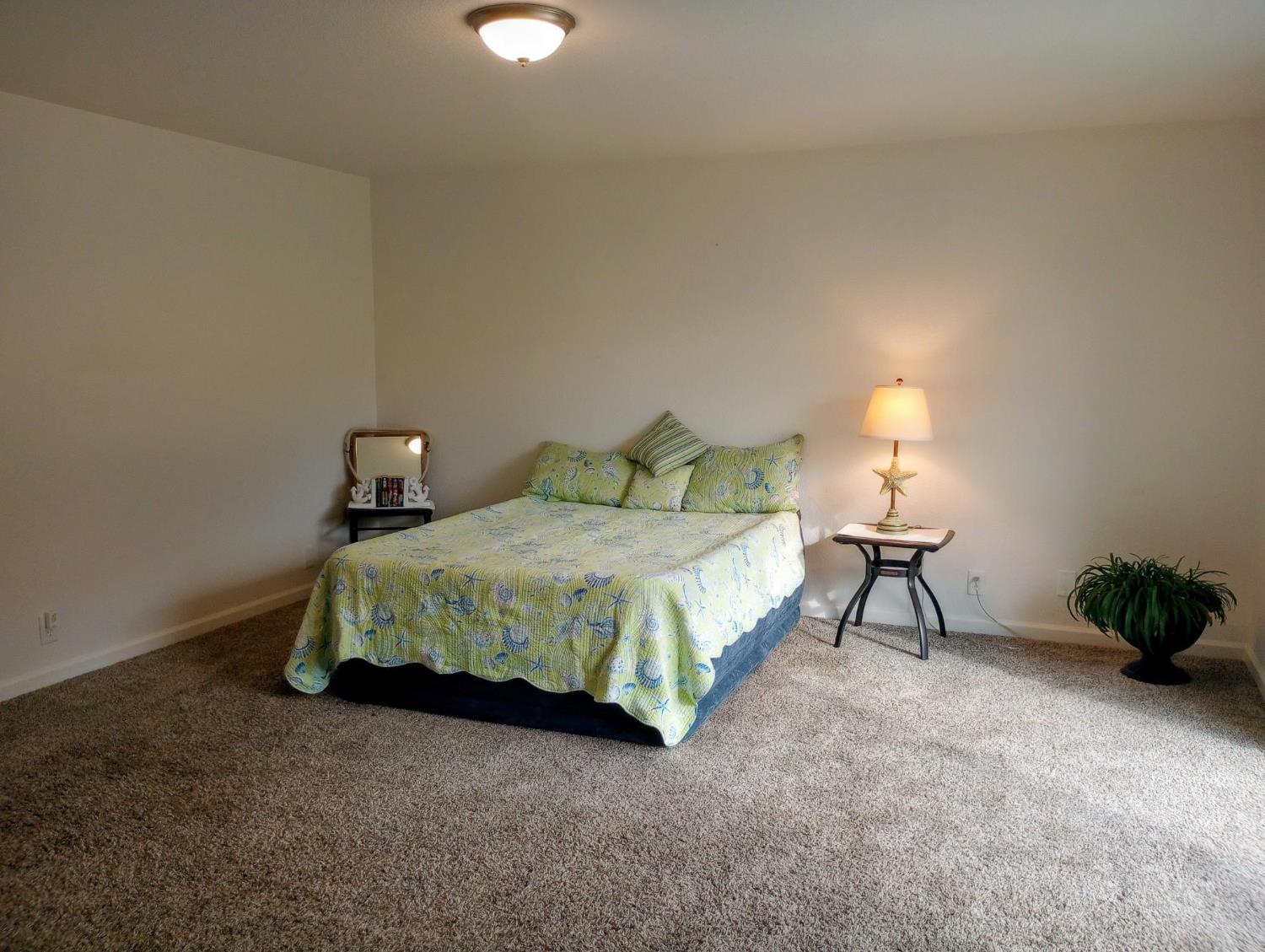 1432 Don Pedro Road Ceres, CA 95307 - Photo 21 of 56 a bedroom with a bed a lamp and a potted plant