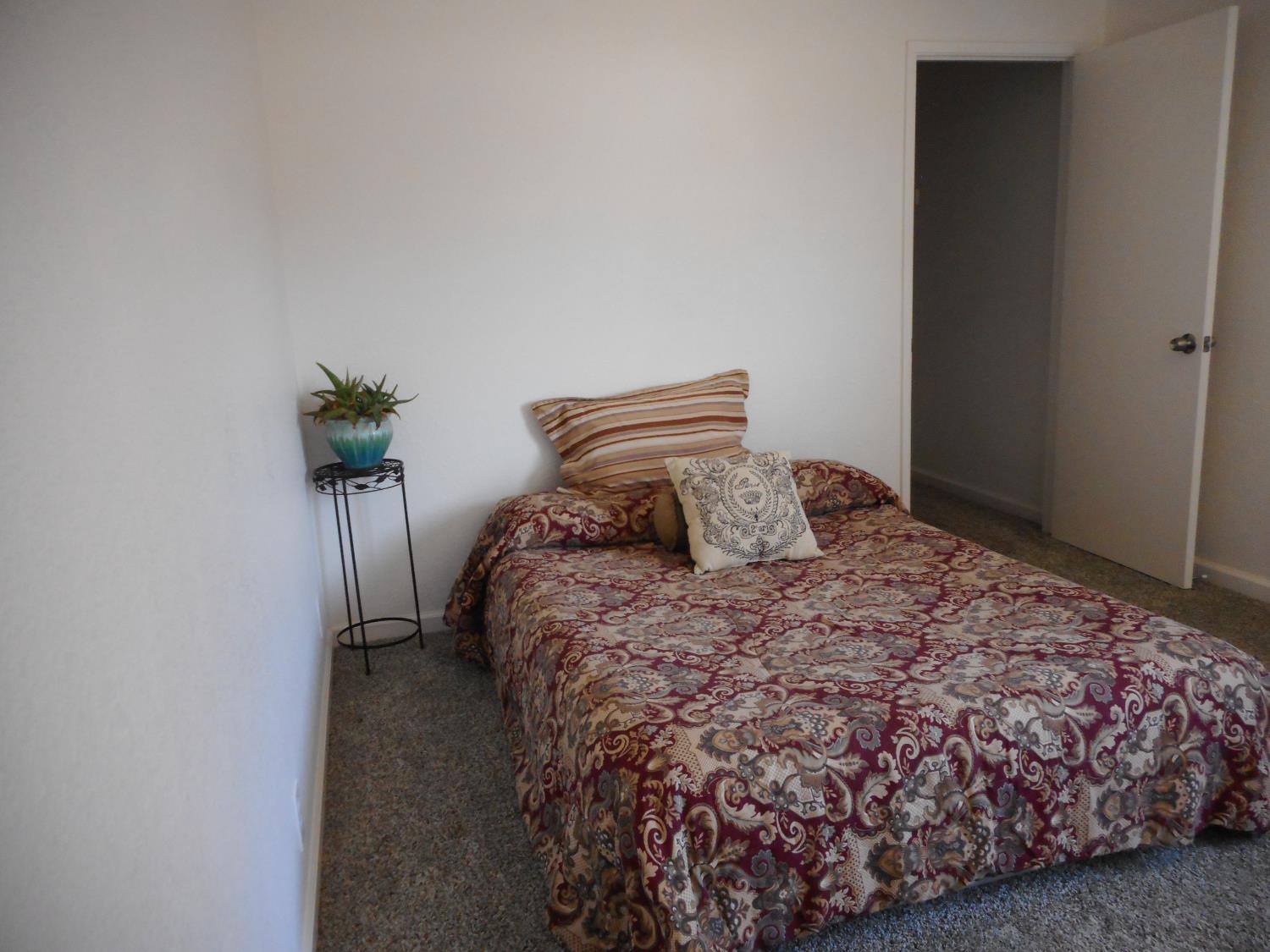 1432 Don Pedro Road Ceres, CA 95307 - Photo 36 of 56 a bedroom with a bed and a potted plant