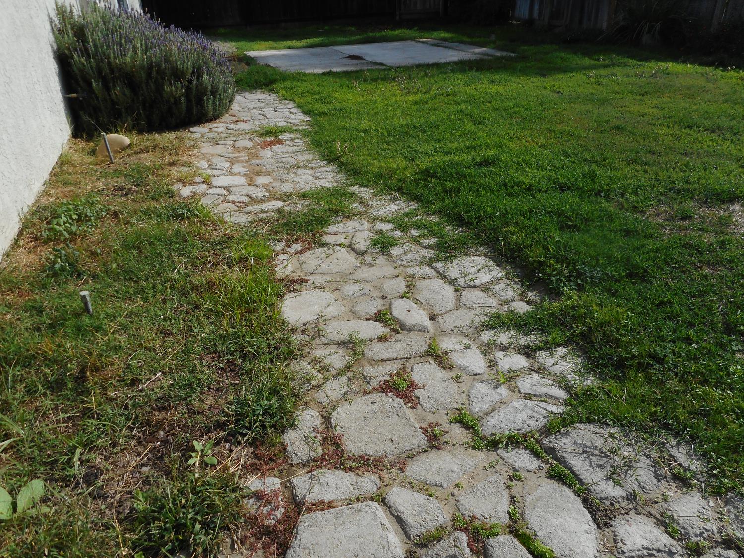 1432 Don Pedro Road Ceres, CA 95307 - Photo 44 of 56 a backyard of a house with lots of green space