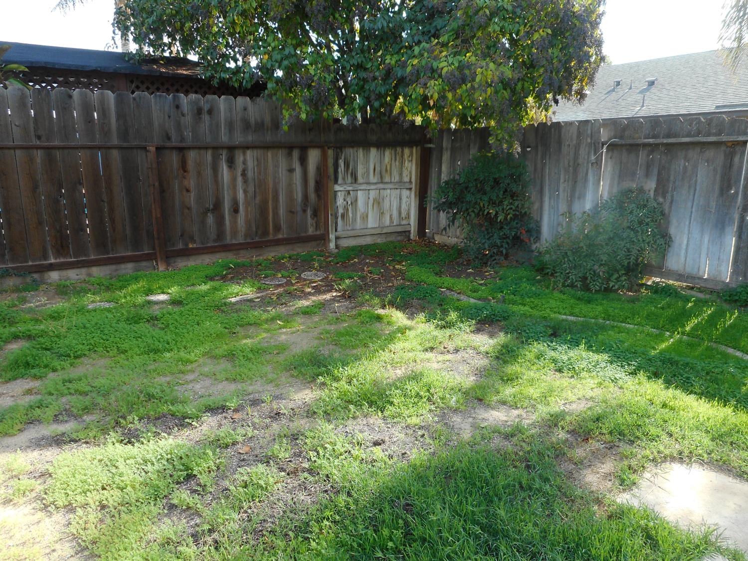 1432 Don Pedro Road Ceres, CA 95307 - Photo 48 of 56 a view of backyard with wooden fence and large trees