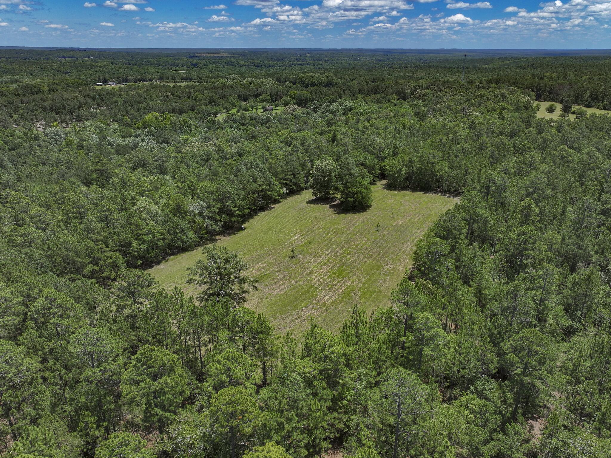 1366 Cummings Road Ridge Spring, SC 29129 - Photo 69 of 170 Gallery Image 69
