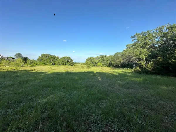 a view of a grassy field with an trees