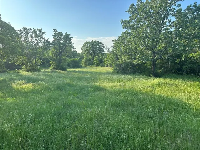 a view of outdoor space and yard