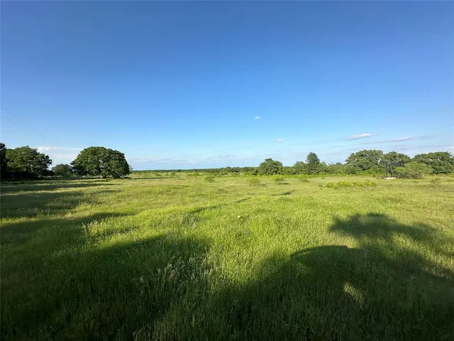 a view of an ocean from a yard