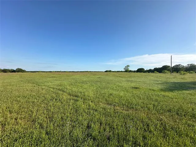 a view of a field with an ocean