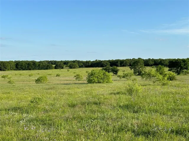 a view of a lake with houses in background