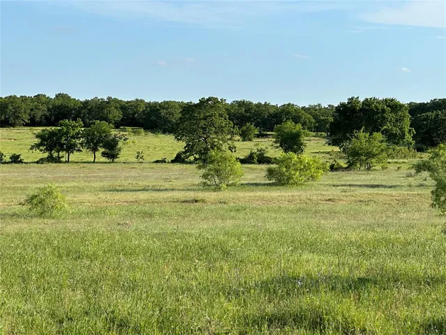 a big yard with lots of green space and deers