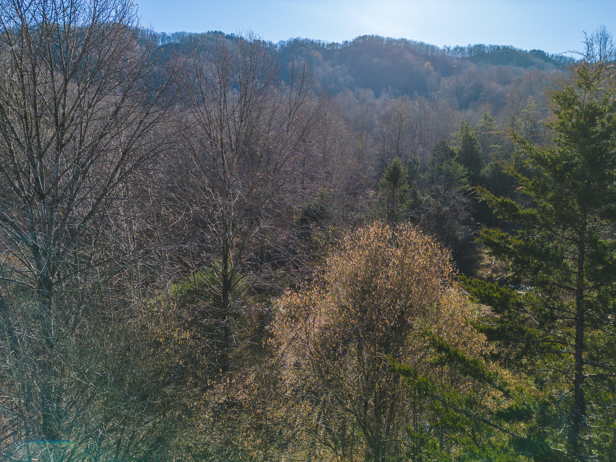 0 Clinch Mountain Road Eidson, TN 37731 - Photo 1 of 29 DJI_0514
