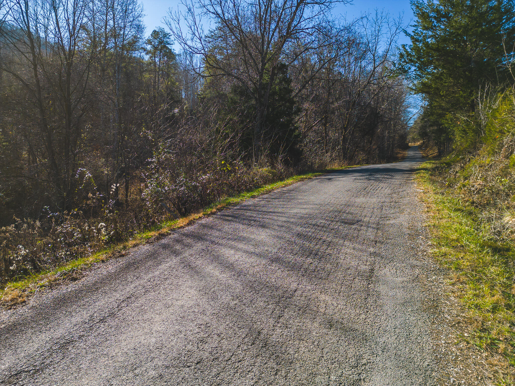 0 Clinch Mountain Road Eidson, TN 37731 - Photo 12 of 29 DJI_0513