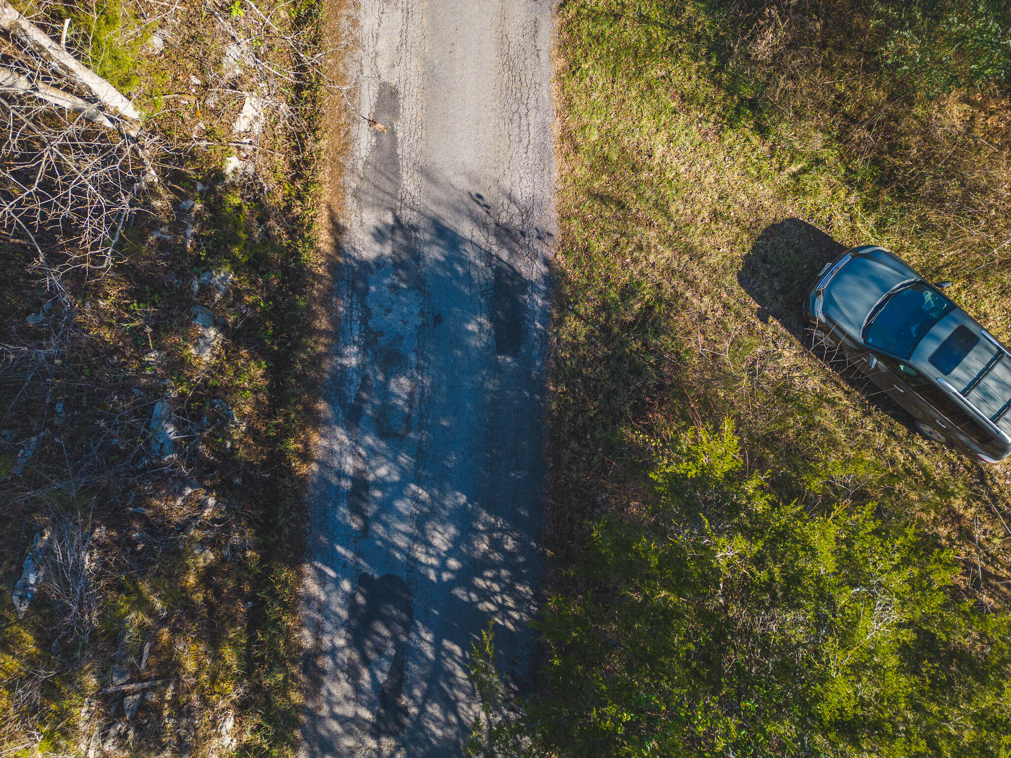 0 Clinch Mountain Road Eidson, TN 37731 - Photo 13 of 29 DJI_0515