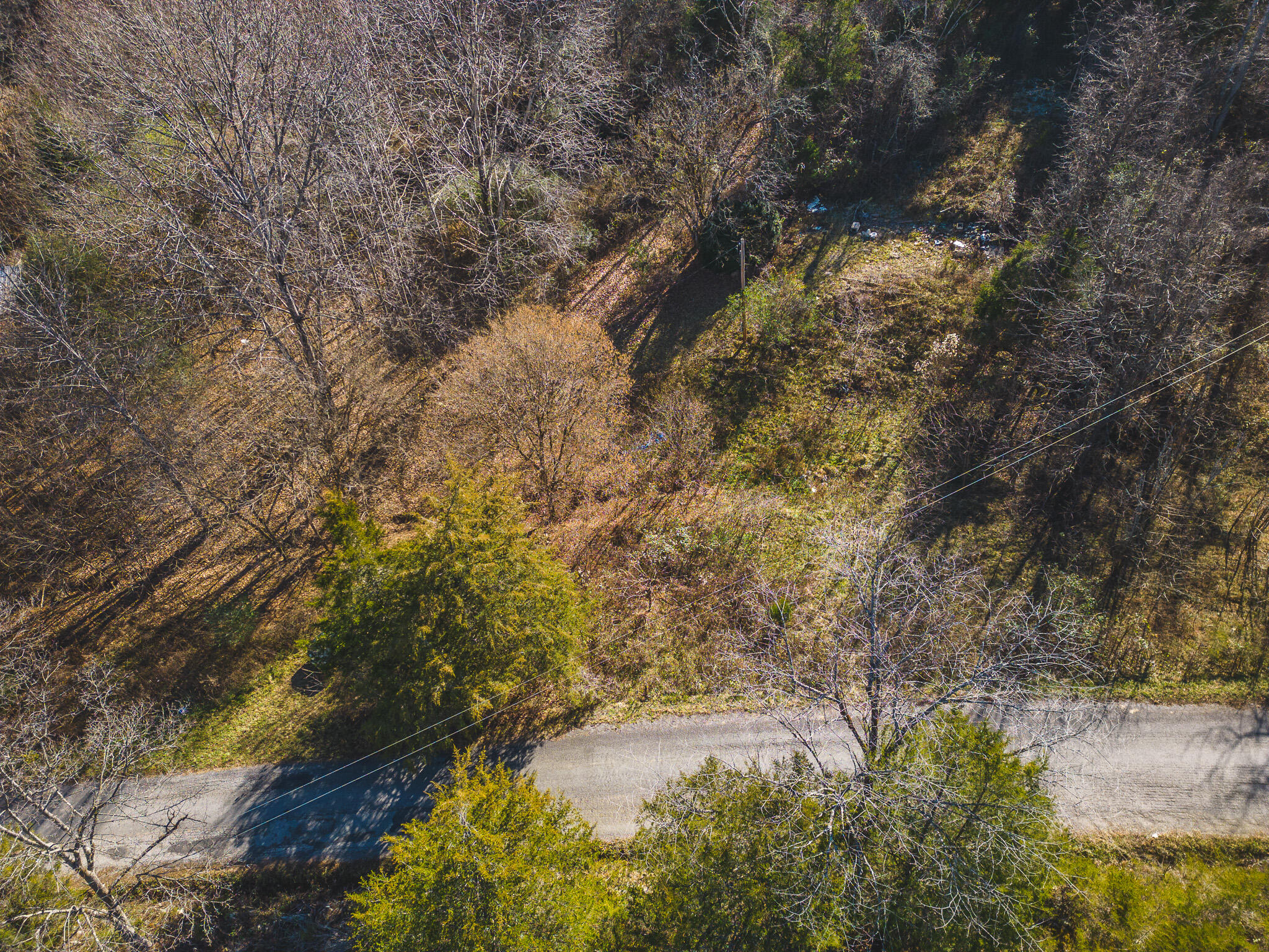 0 Clinch Mountain Road Eidson, TN 37731 - Photo 15 of 29 DJI_0517