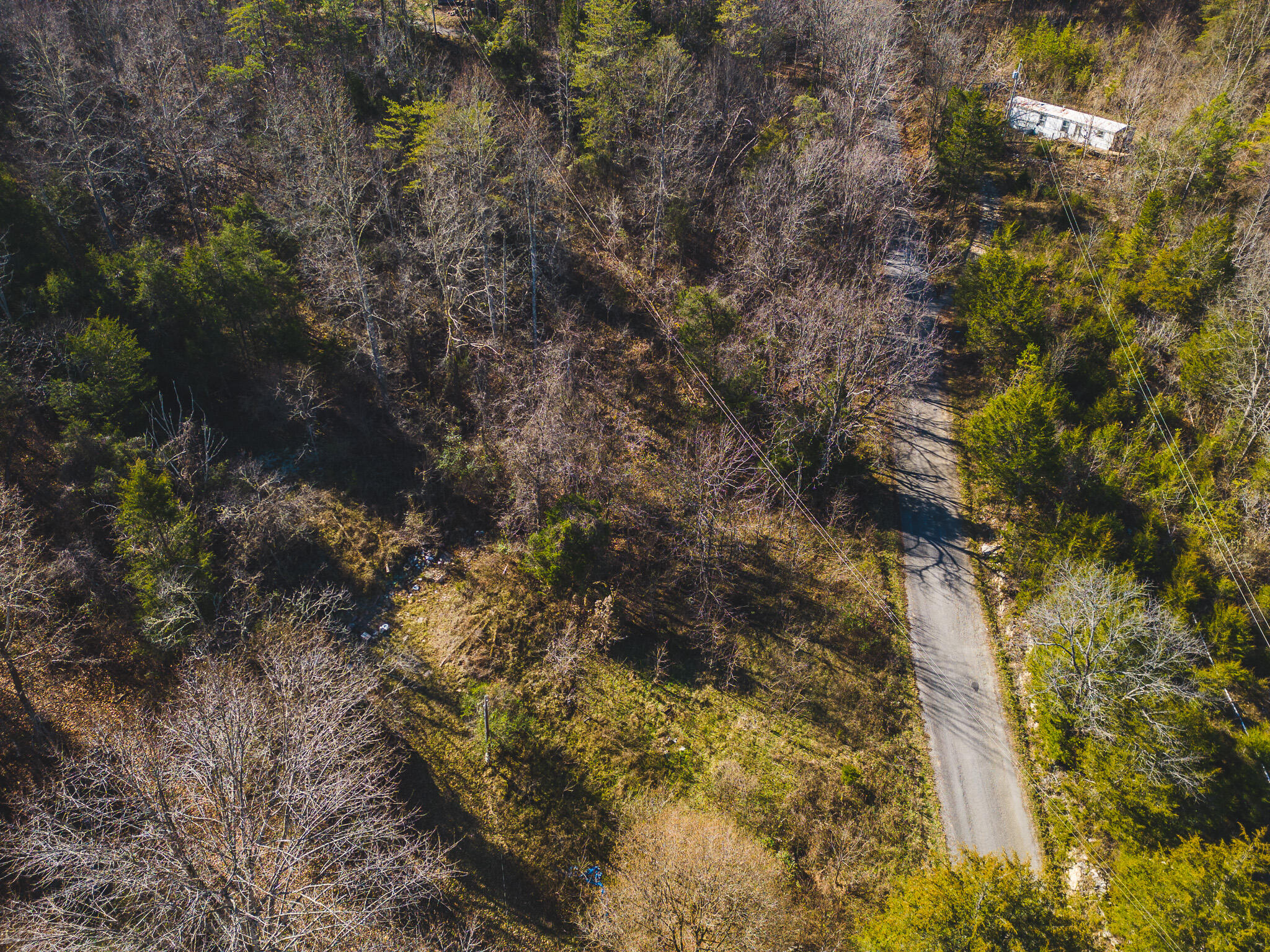 0 Clinch Mountain Road Eidson, TN 37731 - Photo 18 of 29 DJI_0520
