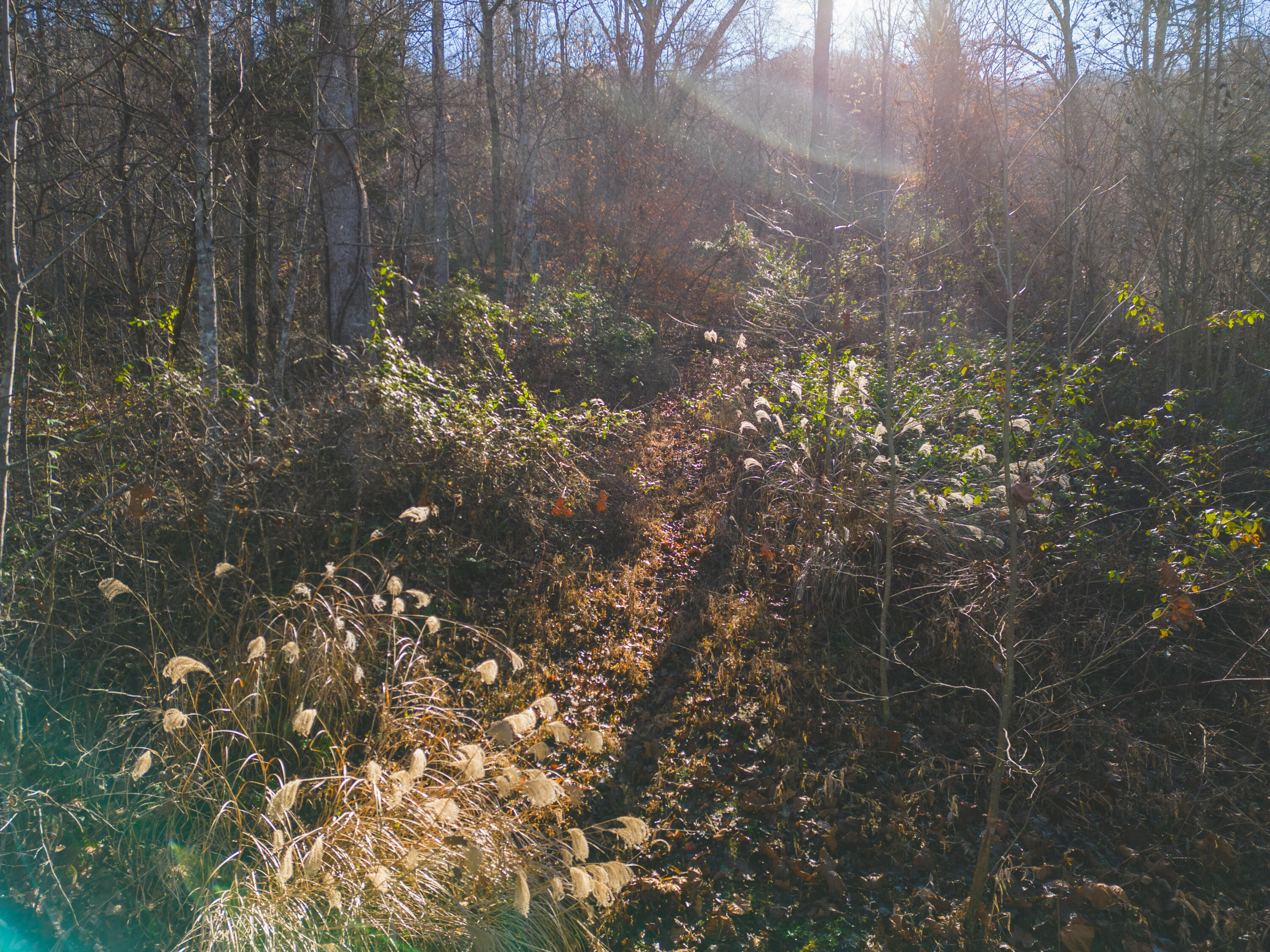 0 Clinch Mountain Road Eidson, TN 37731 - Photo 2 of 29 DJI_0498
