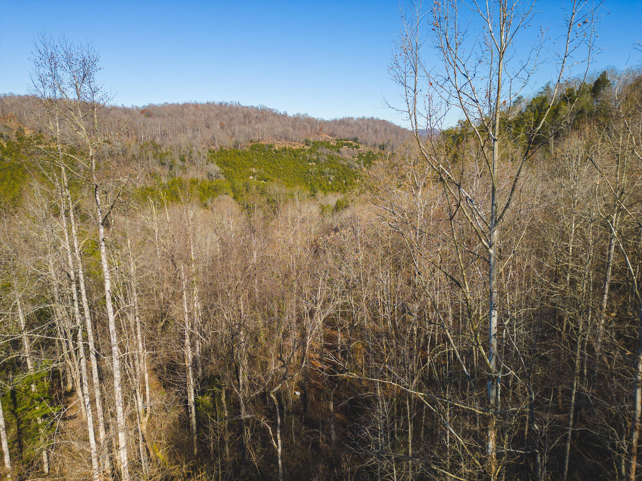 0 Clinch Mountain Road Eidson, TN 37731 - Photo 5 of 29 DJI_0502