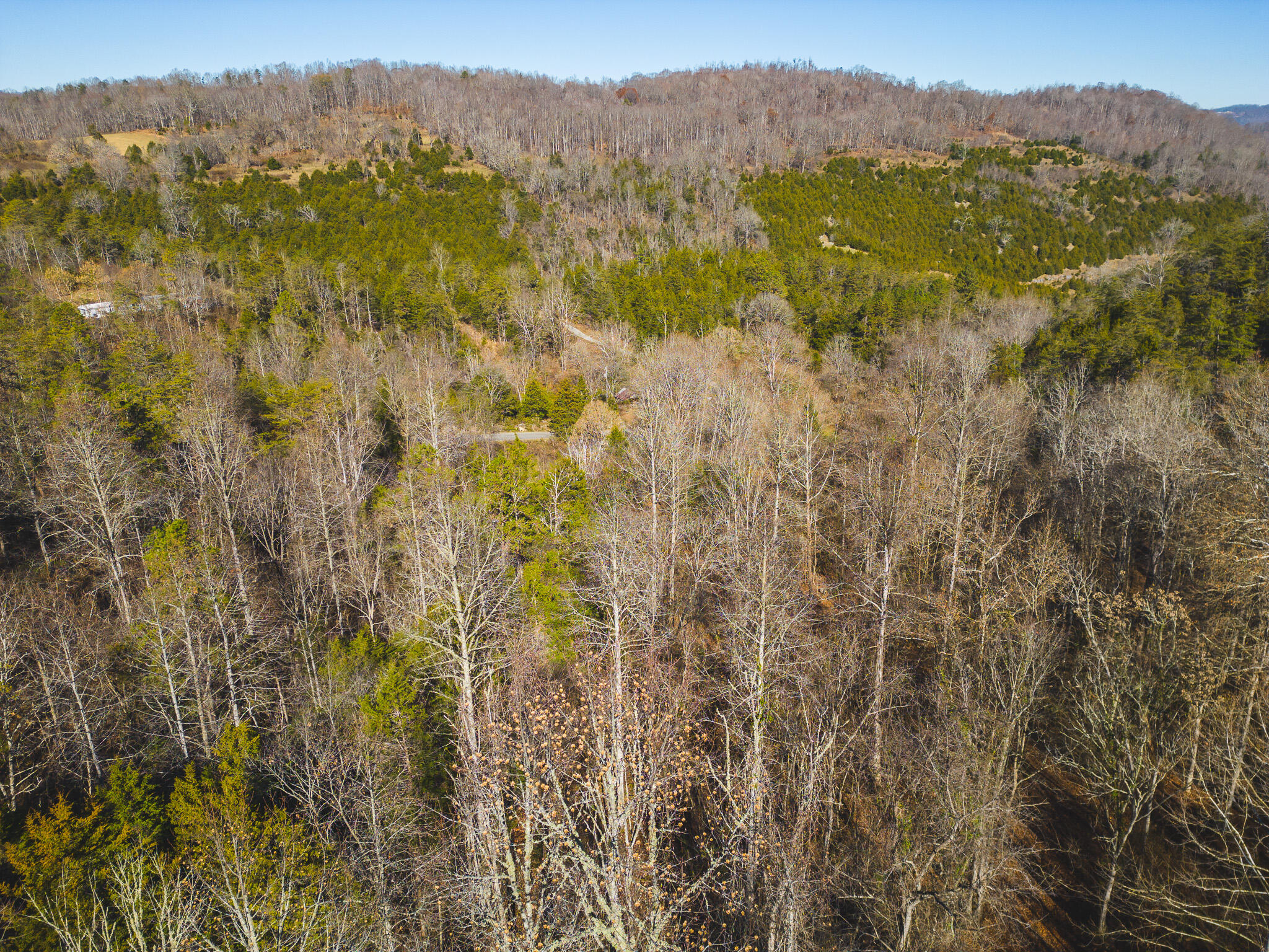 0 Clinch Mountain Road Eidson, TN 37731 - Photo 6 of 29 DJI_0503