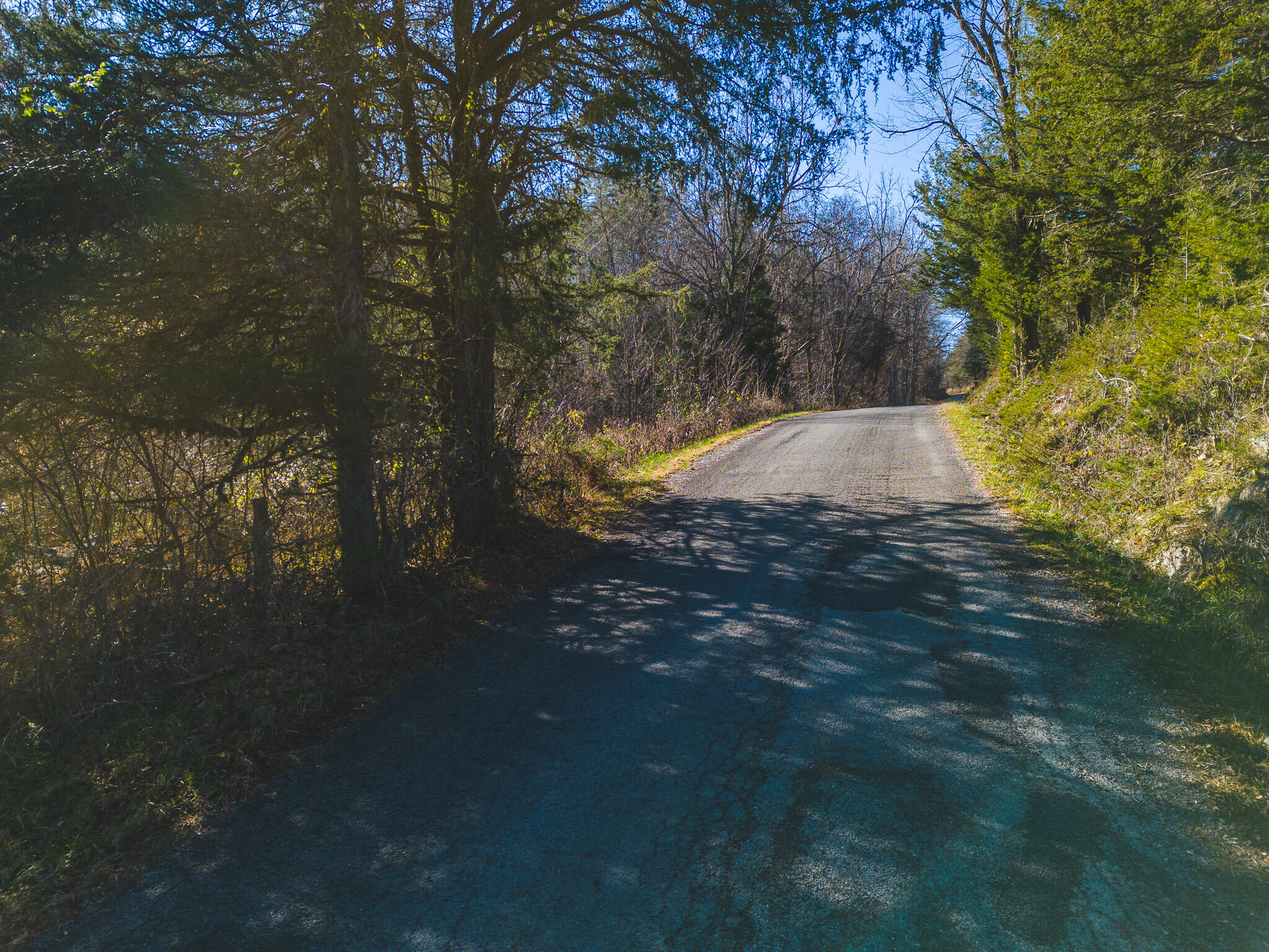 0 Clinch Mountain Road Eidson, TN 37731 - Photo 8 of 29 DJI_0509
