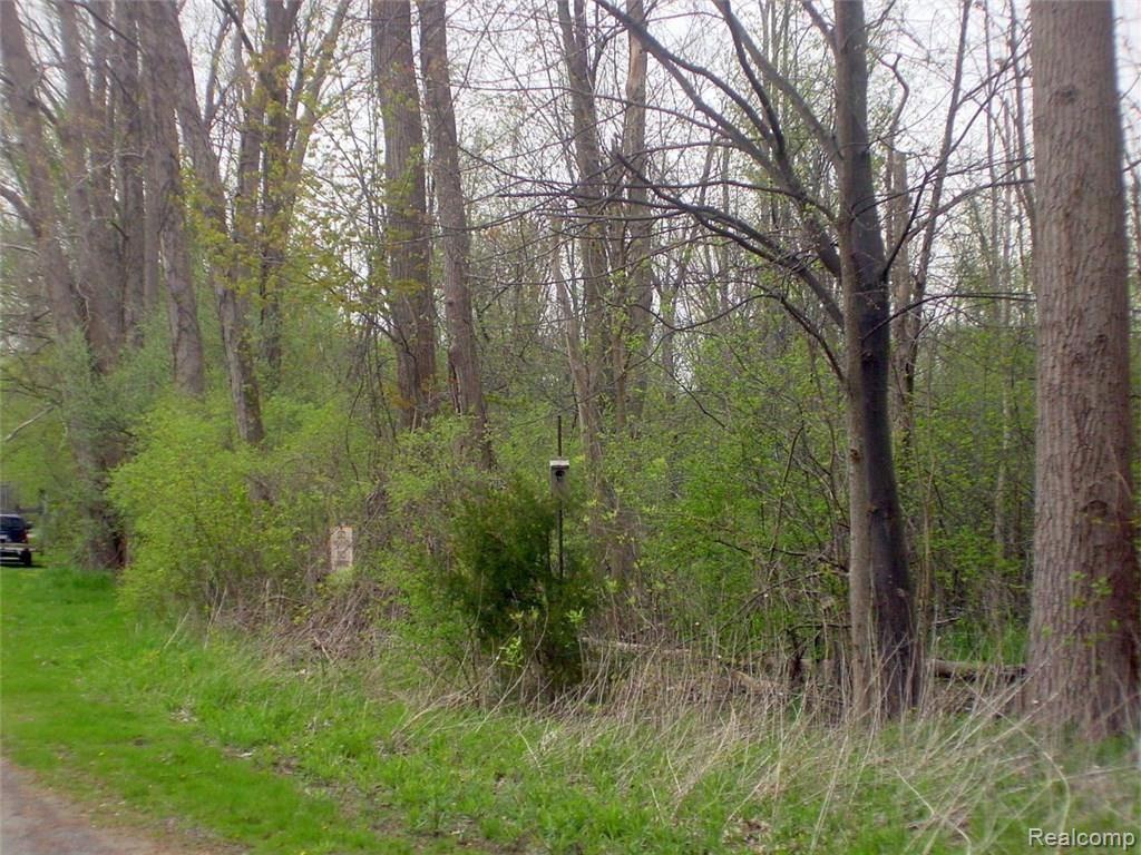 0 Windwheel Point Drive Pinckney, MI 48169 - Photo 5 of 7