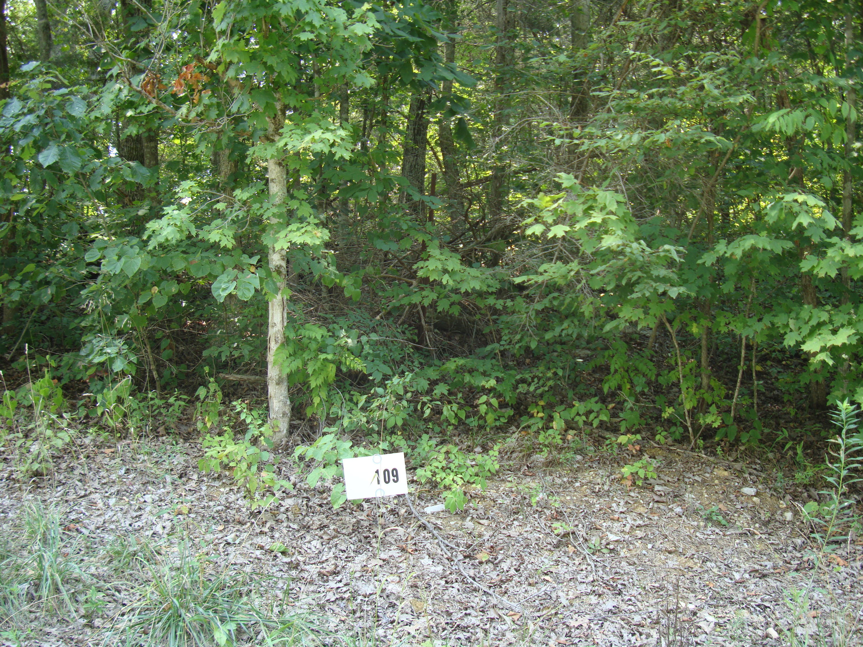 149 Gannaway Road Leitchfield, KY 42754 - Photo 1 of 1 lot 109