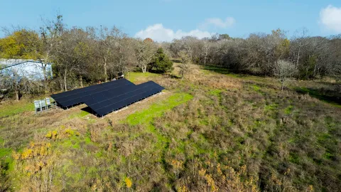 a view of a park with large trees