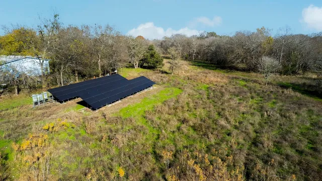 a view of a park with large trees